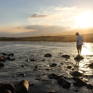 Meet your Posher, Jimi